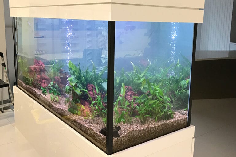 About Aquarium Leasing Specialists 1