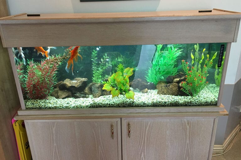 About Aquarium Leasing Specialists 2