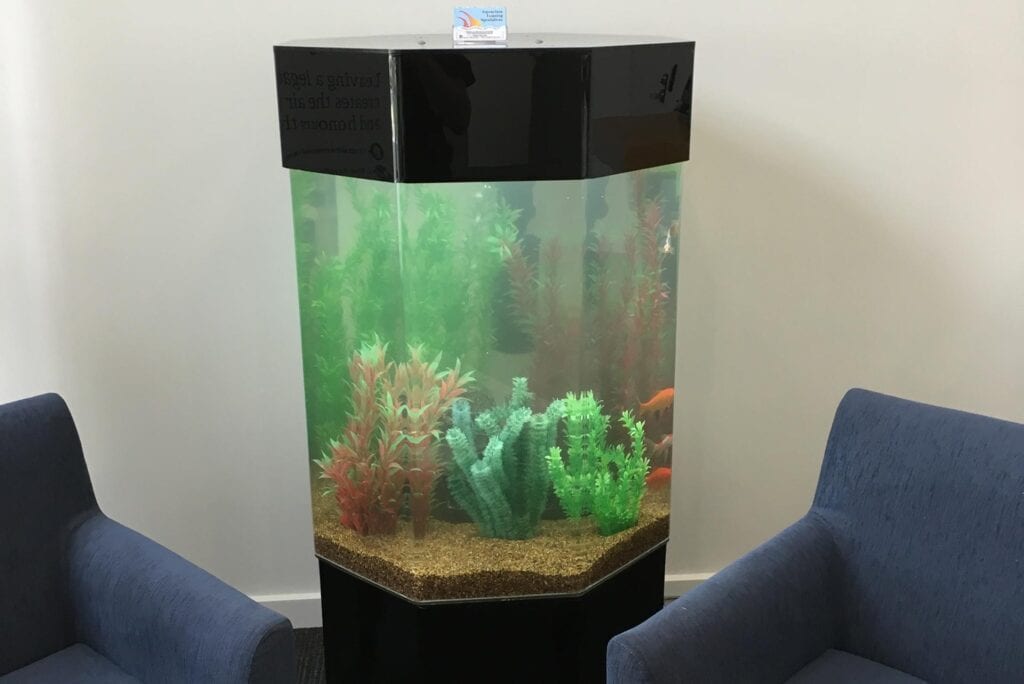 Octagonal Rental Aquarium